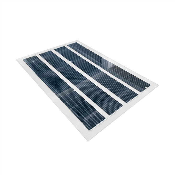 Double Glass Mono Solar Panel